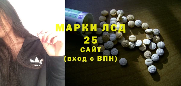 ECSTASY Алзамай
