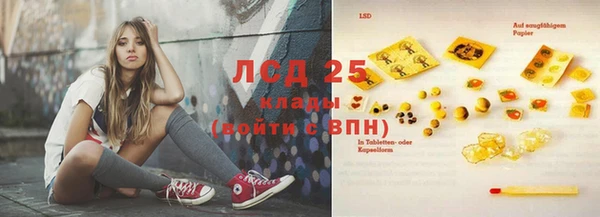 ECSTASY Алзамай