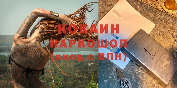 ECSTASY Алзамай