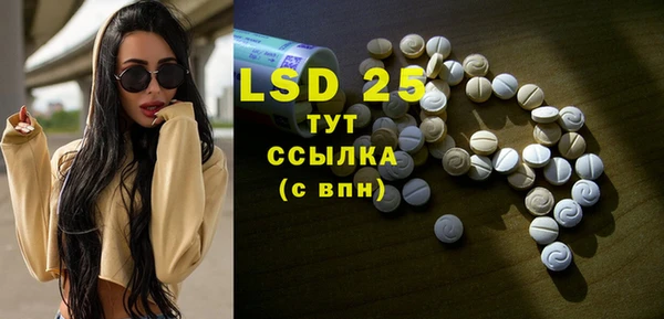 ECSTASY Алзамай