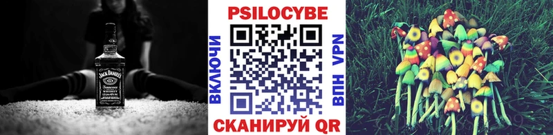 Псилоцибиновые грибы Psilocybe купить закладку Камешково
